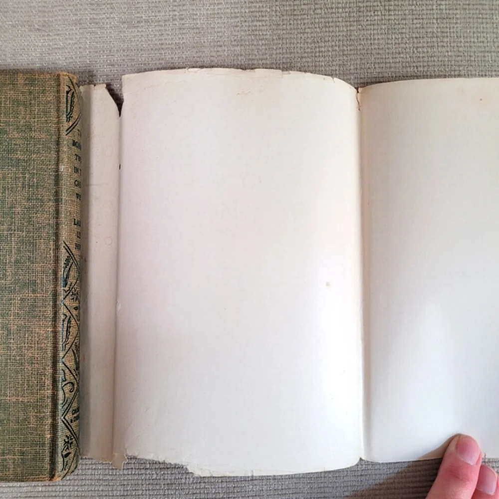 The Bobbsey Twins in the Great West Book Vintage Printed 1948 With Dust Cover